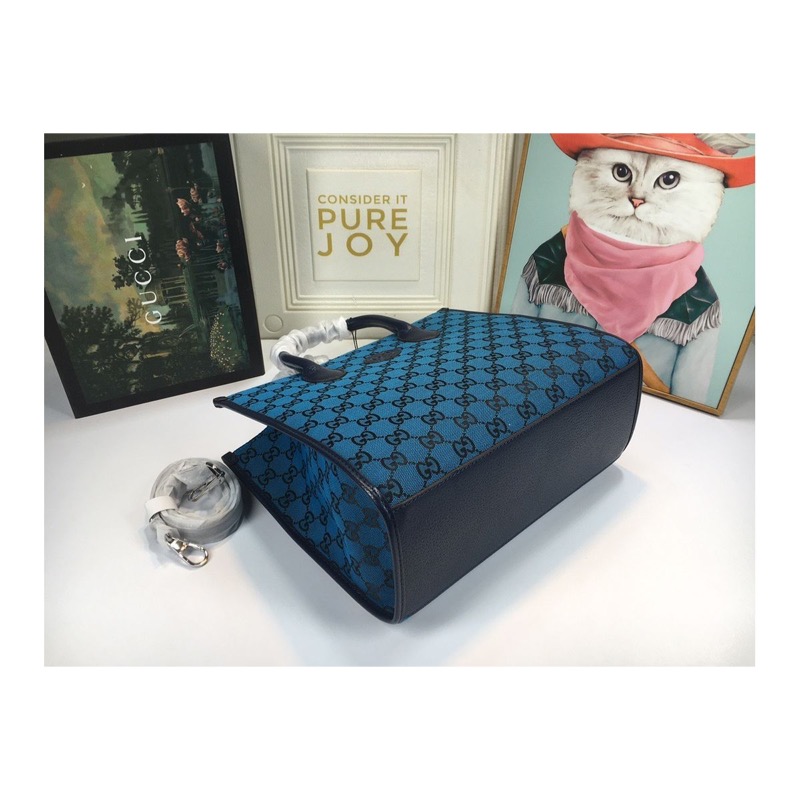 Gucci Ophidia Bag