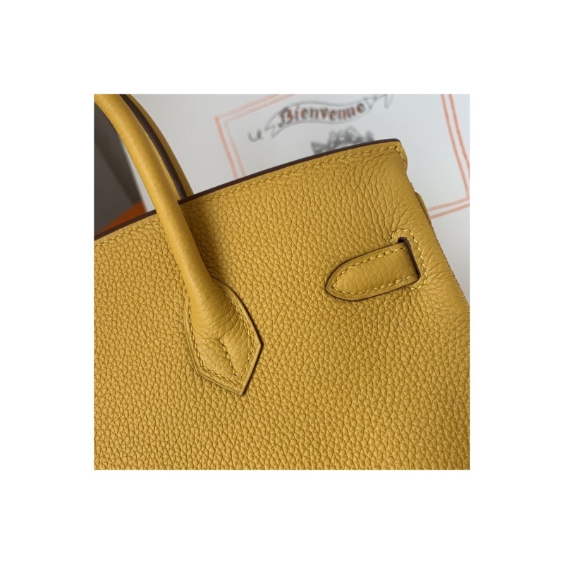 Hermès Birkin Bag