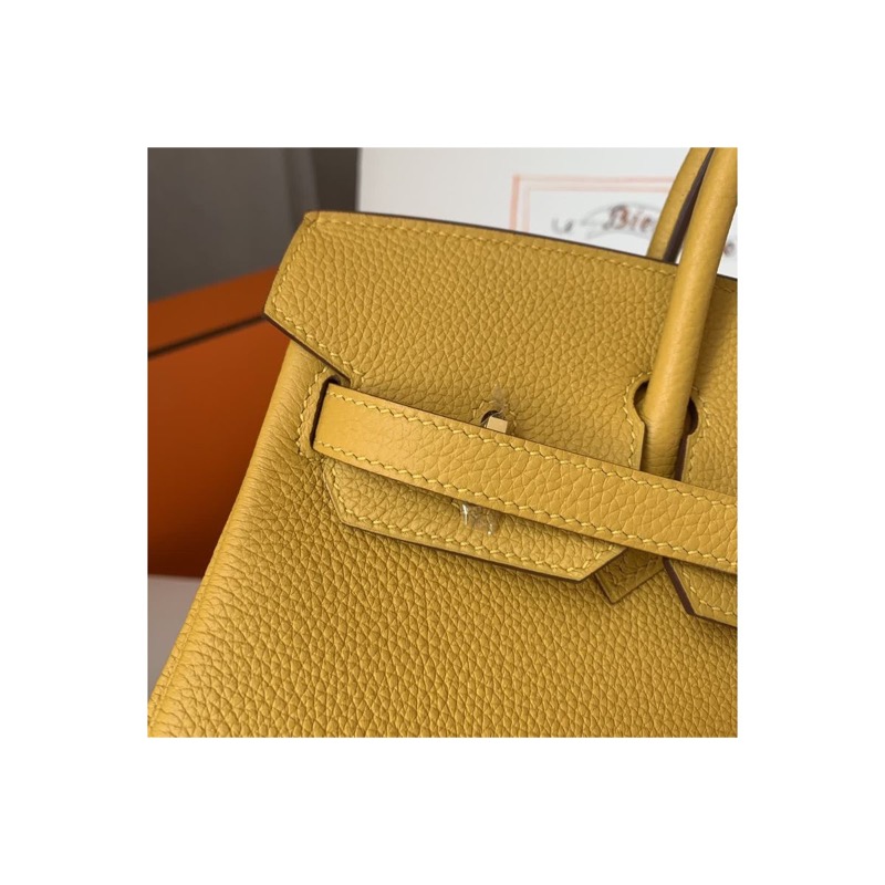Hermès Birkin Bag