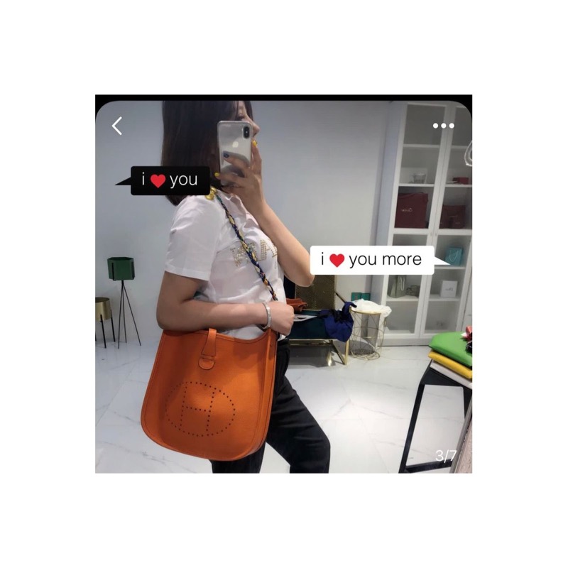 Hermès Evelyne Bag