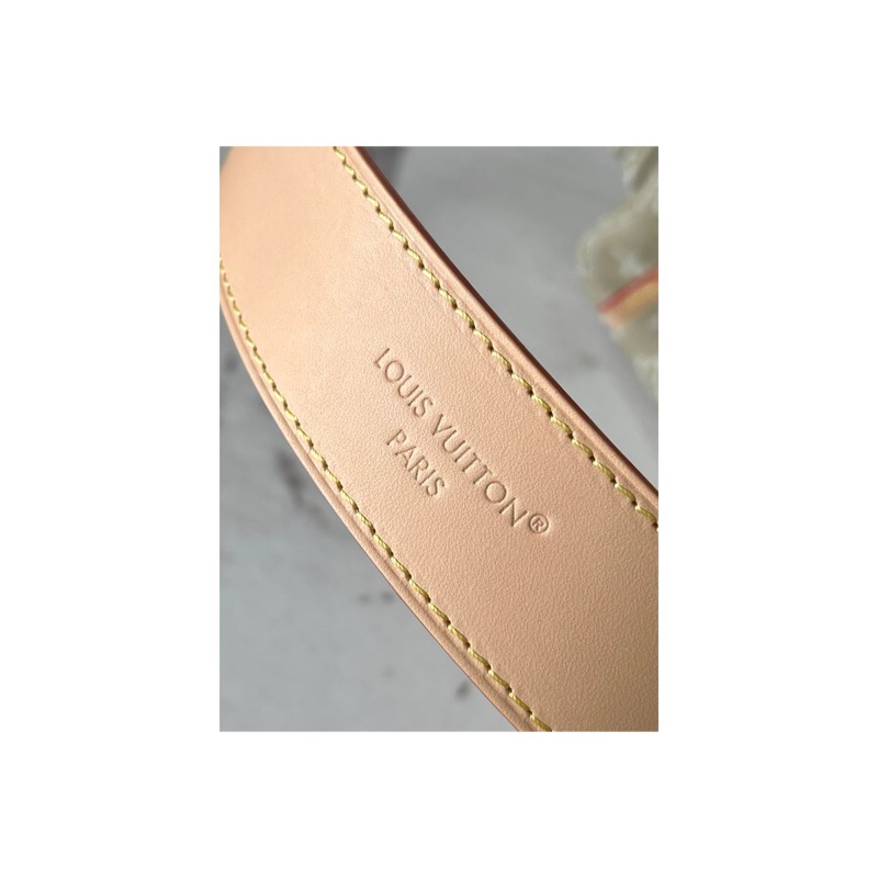 Louis Vuitton Handbag