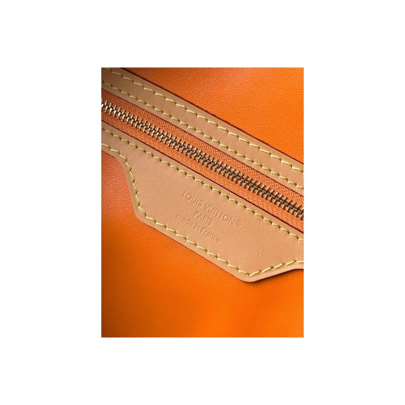 Louis Vuitton Speedy Monogram Bag