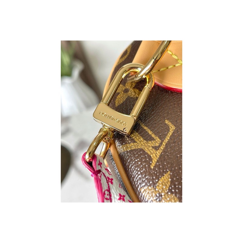 Louis Vuitton Speedy Monogram Bag