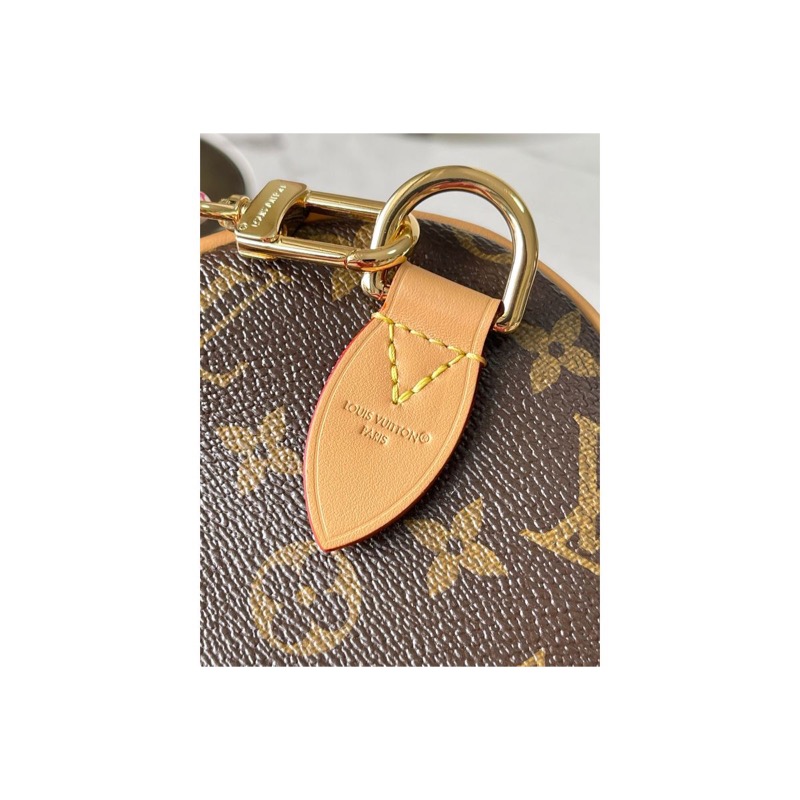 Louis Vuitton Speedy Monogram Bag