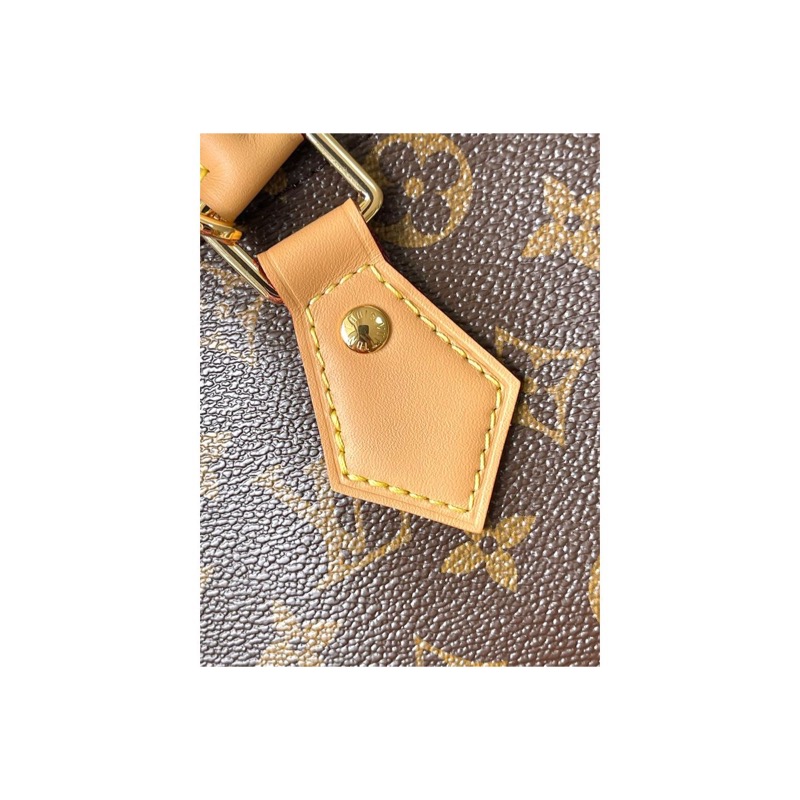 Louis Vuitton Speedy Monogram Bag