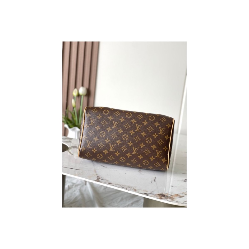 Louis Vuitton Speedy Monogram Bag