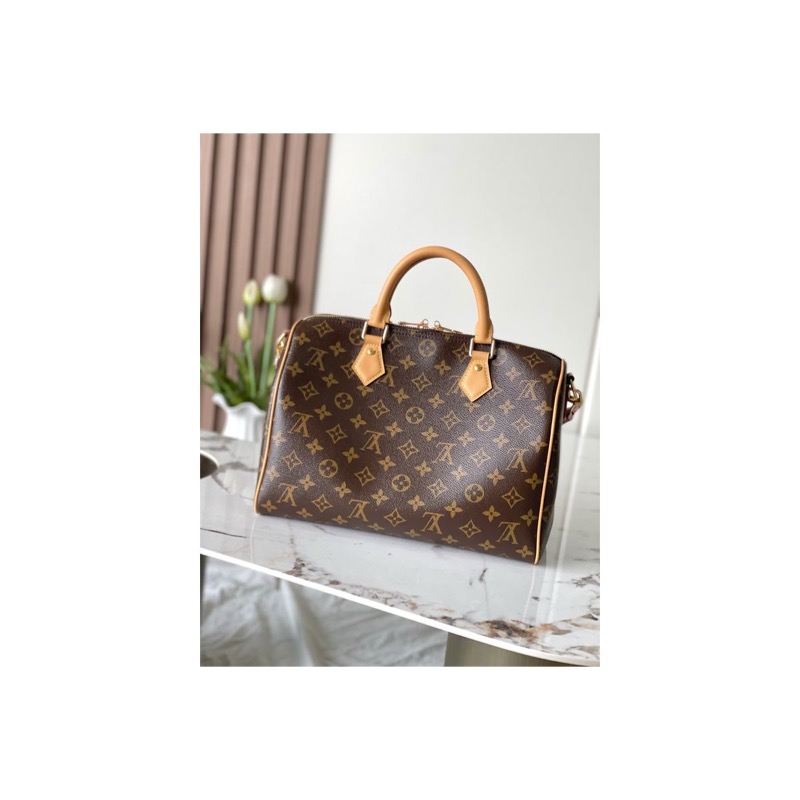 Louis Vuitton Speedy Monogram Bag