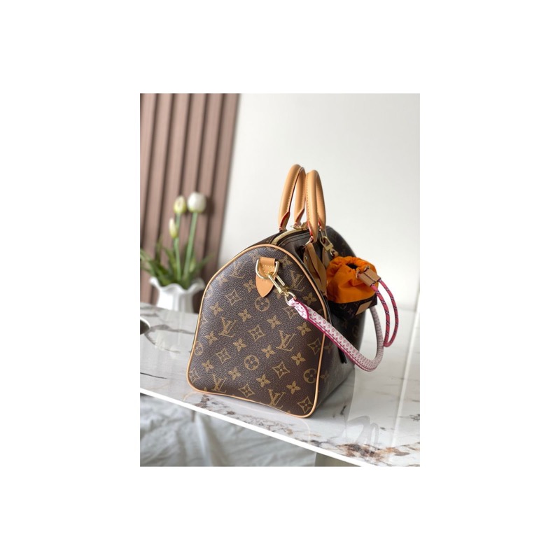 Louis Vuitton Speedy Monogram Bag