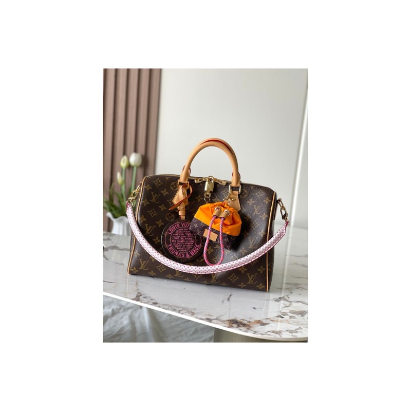 Louis Vuitton Speedy Monogram Bag