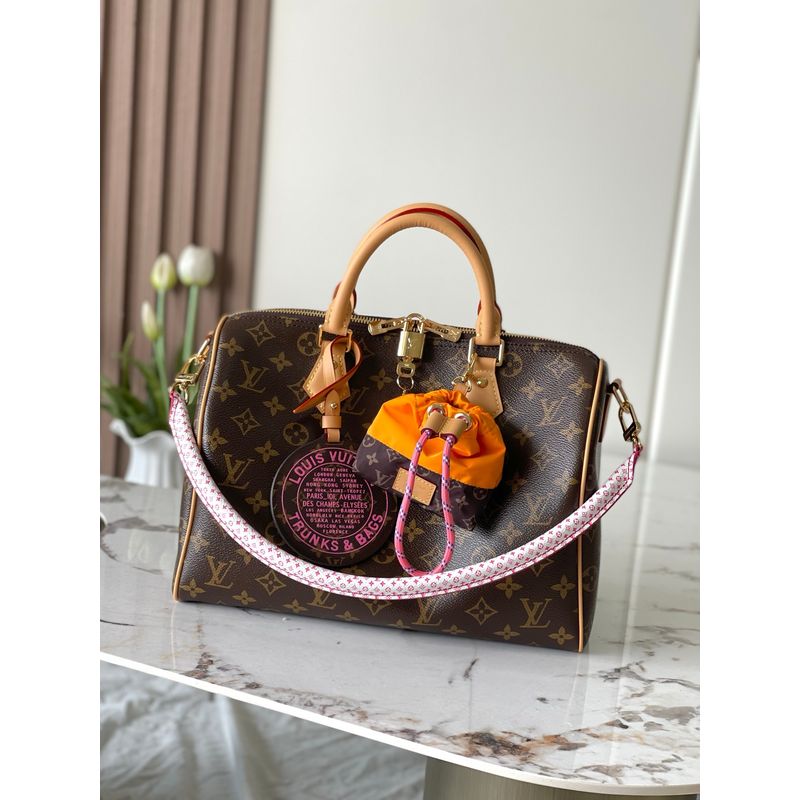 Louis Vuitton Speedy Monogram Bag