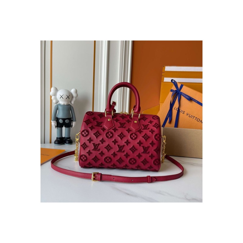 Louis Vuitton Speedy Monogram Bag