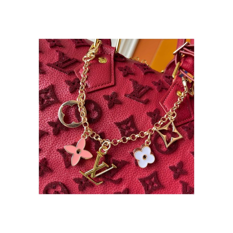 Louis Vuitton Speedy Monogram Bag