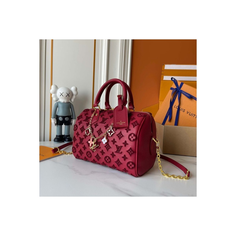 Louis Vuitton Speedy Monogram Bag