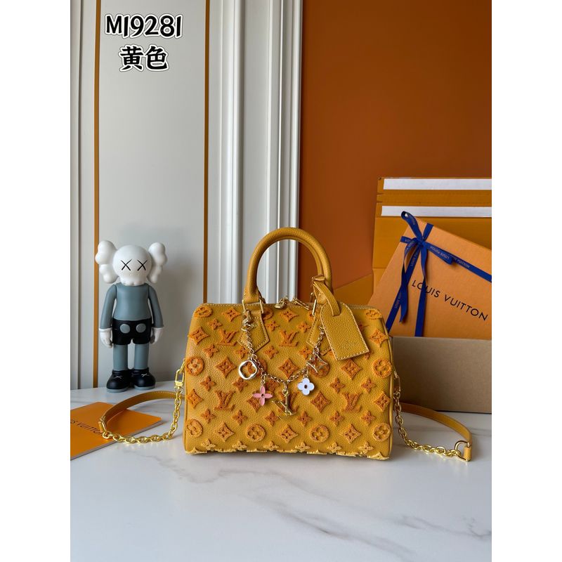Louis Vuitton Speedy Monogram Bag