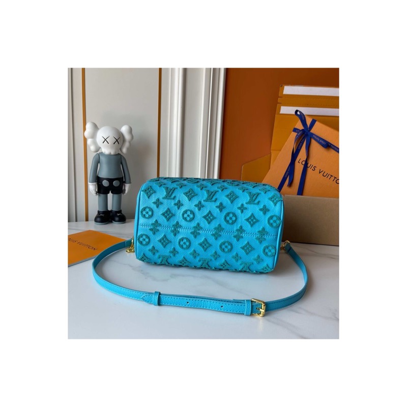 Louis Vuitton Speedy Monogram Bag