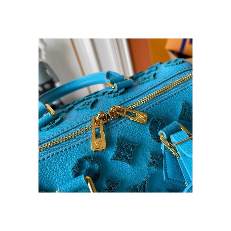 Louis Vuitton Speedy Monogram Bag