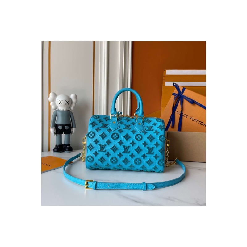 Louis Vuitton Speedy Monogram Bag