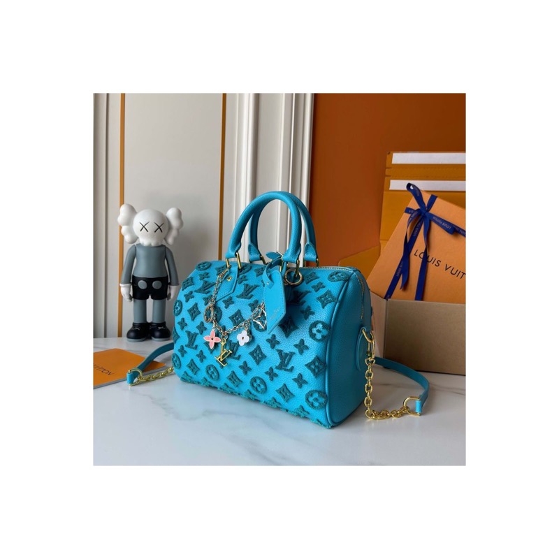 Louis Vuitton Speedy Monogram Bag