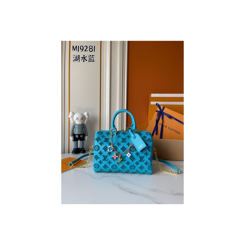 Louis Vuitton Speedy Monogram Bag