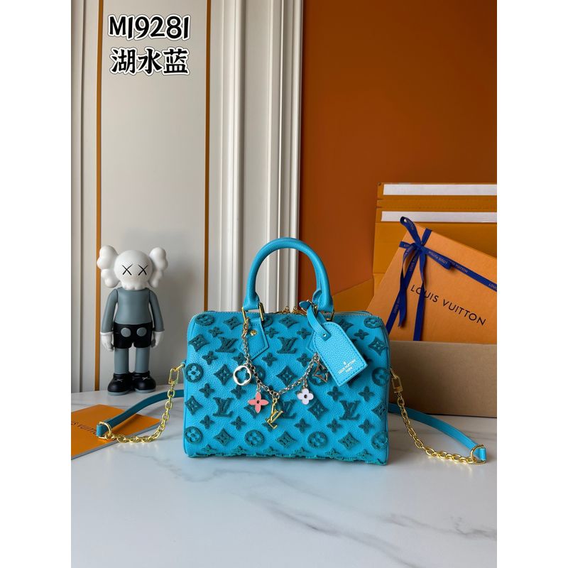 Louis Vuitton Speedy Monogram Bag