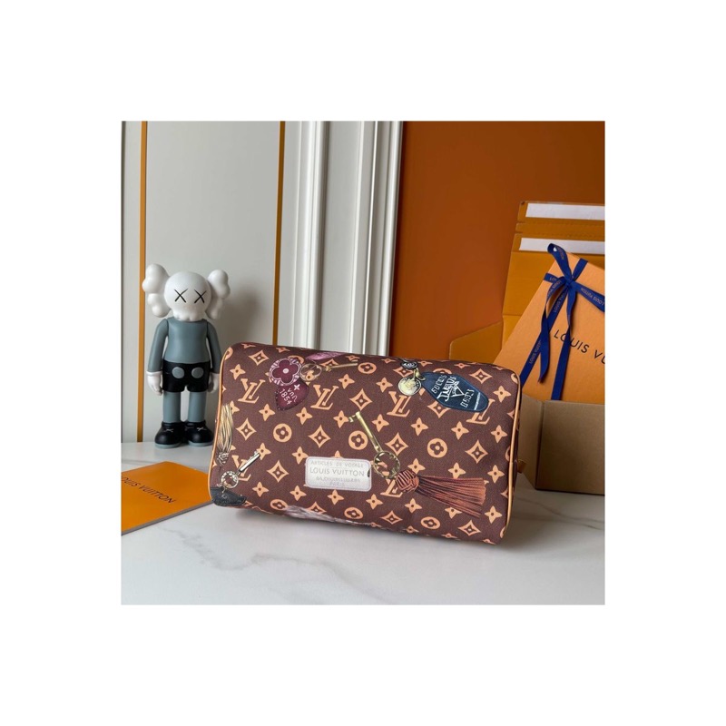 Louis Vuitton Speedy Monogram Bag
