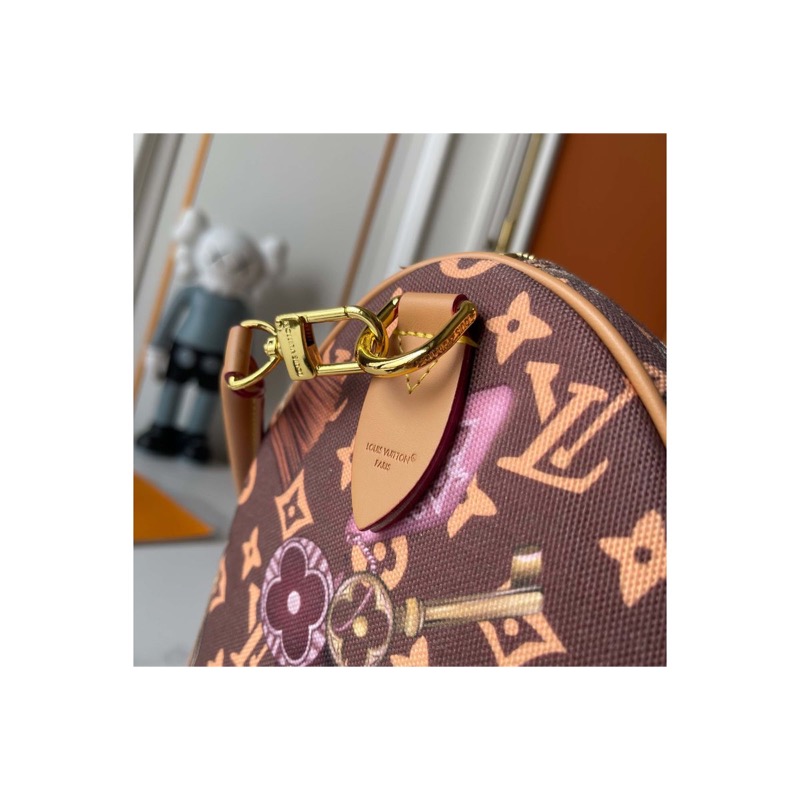 Louis Vuitton Speedy Monogram Bag