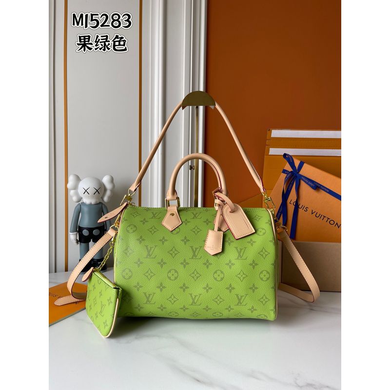 Louis Vuitton Speedy Monogram Bag