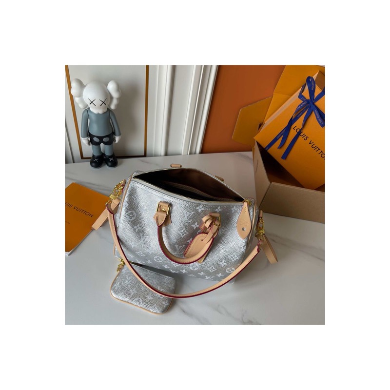 Louis Vuitton Speedy Bag