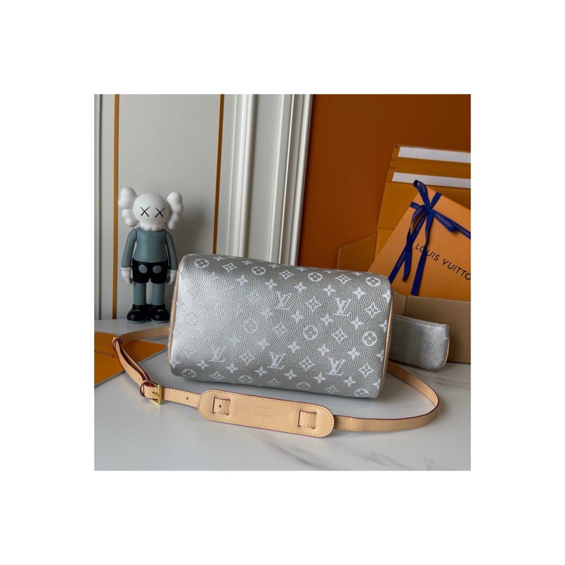 Louis Vuitton Speedy Bag