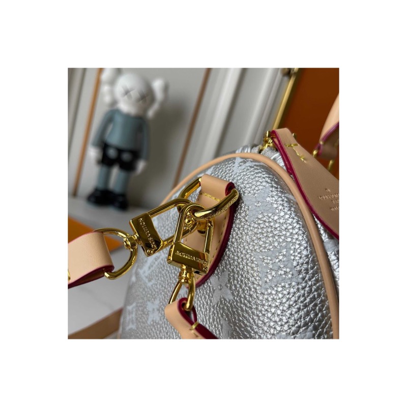 Louis Vuitton Speedy Bag