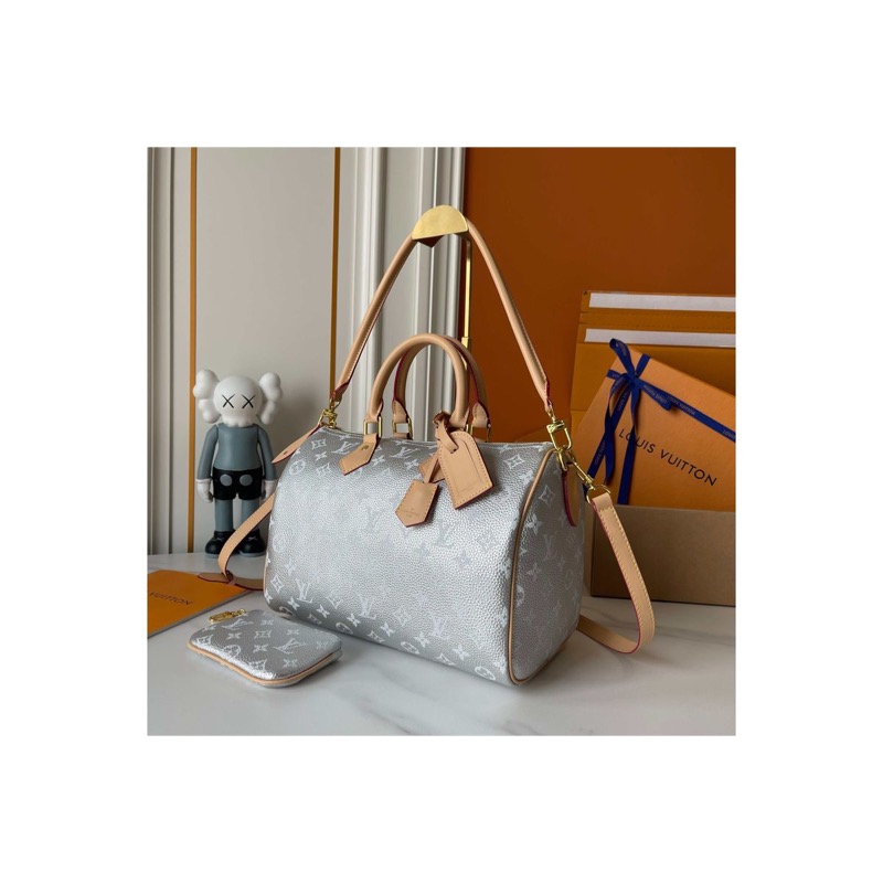 Louis Vuitton Speedy Bag