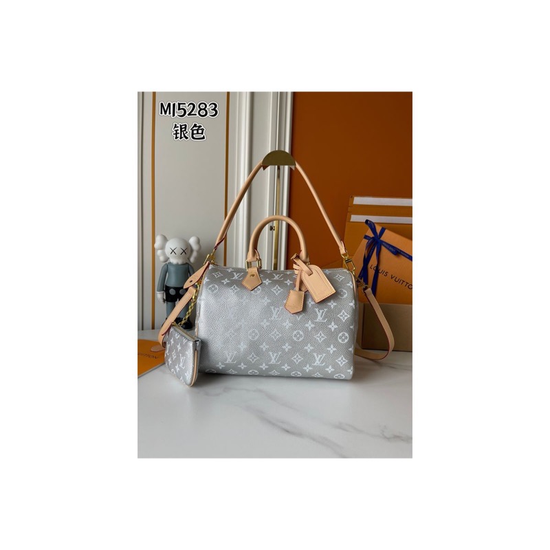 Louis Vuitton Speedy Bag