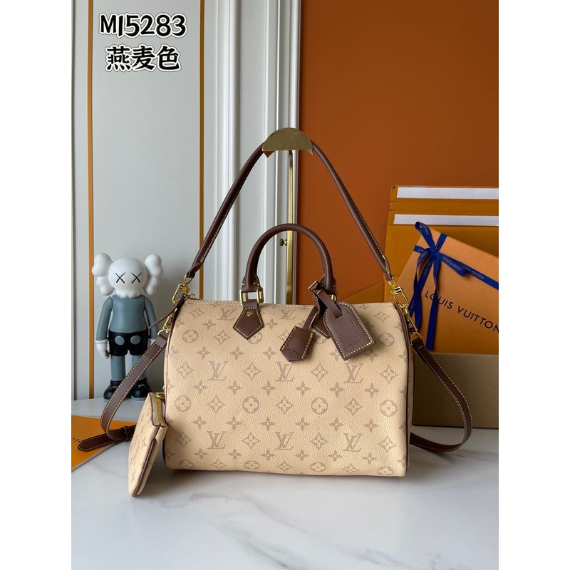 Louis Vuitton Speedy Monogram Bag