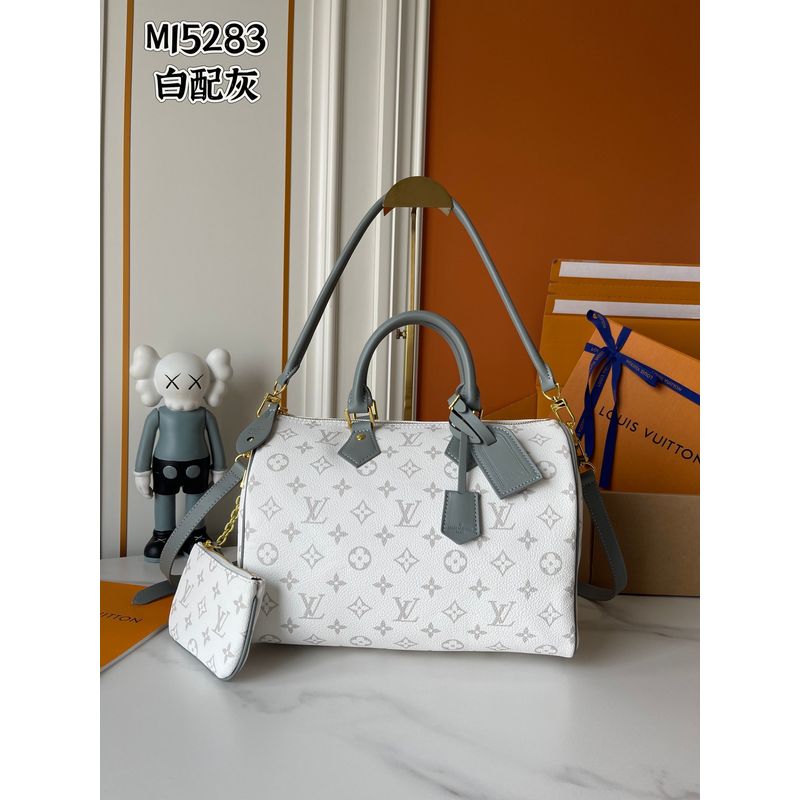 Louis Vuitton Speedy Bag
