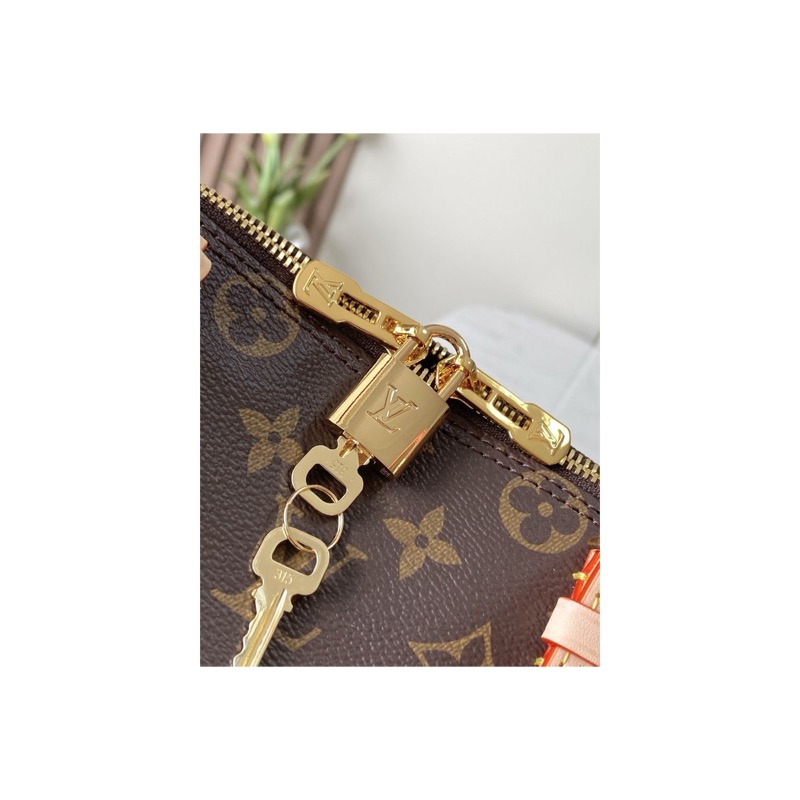 Louis Vuitton Alma Monogram Bag