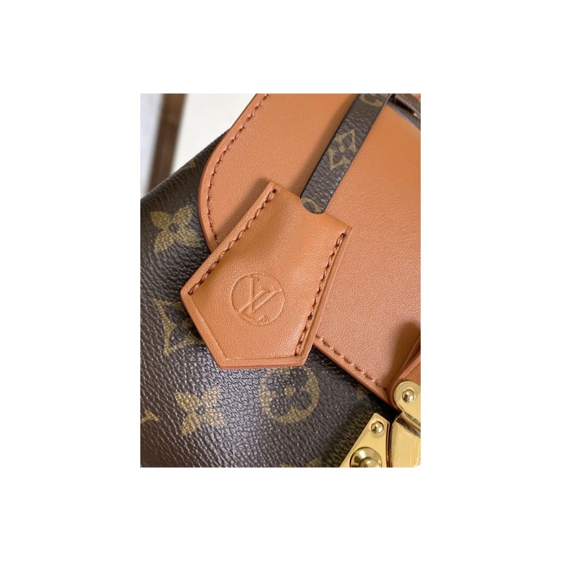Louis Vuitton Crossbody Bag