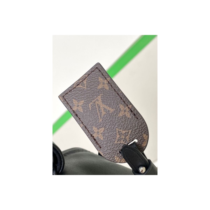 Louis Vuitton Crossbody Bag