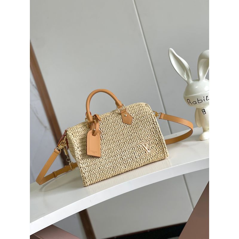Louis Vuitton Speedy Woven Bag