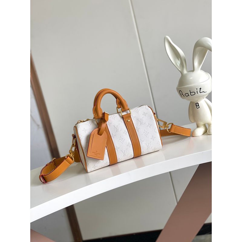 Louis Vuitton Speedy Bag