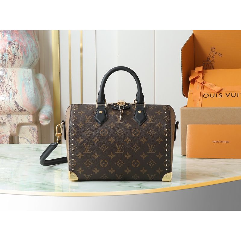 Louis Vuitton Speedy Monogram Bag