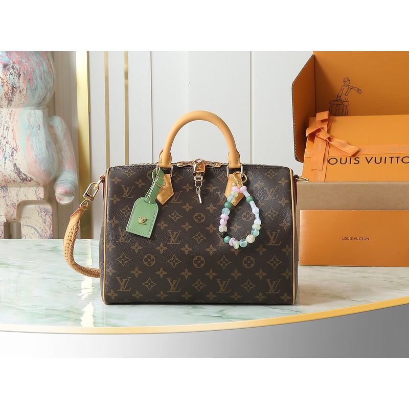 Louis Vuitton Speedy Monogram Bag