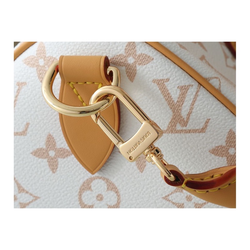 Louis Vuitton Speedy Bag