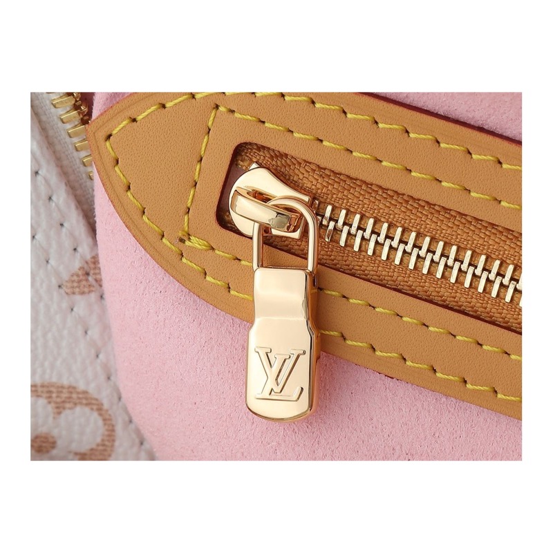 Louis Vuitton Speedy Bag