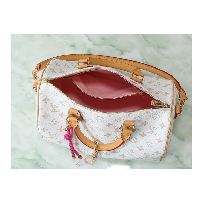 Louis Vuitton Speedy Bag