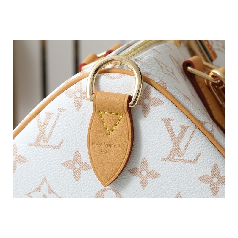 Louis Vuitton Speedy Bag