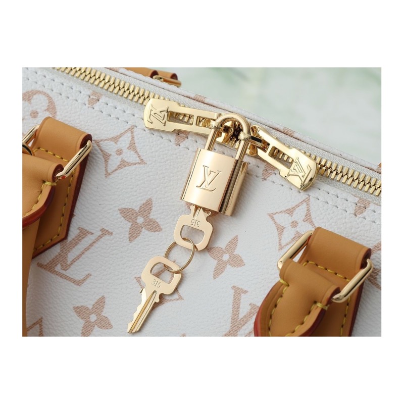 Louis Vuitton Speedy Bag