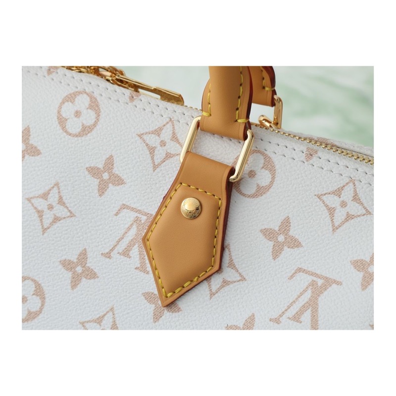 Louis Vuitton Speedy Bag