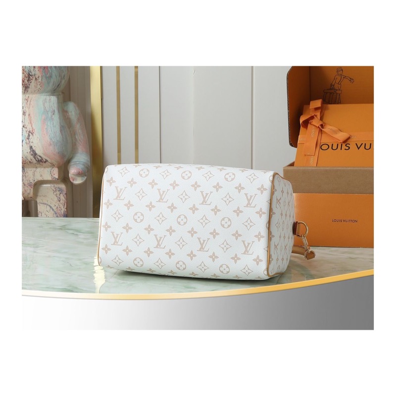 Louis Vuitton Speedy Bag