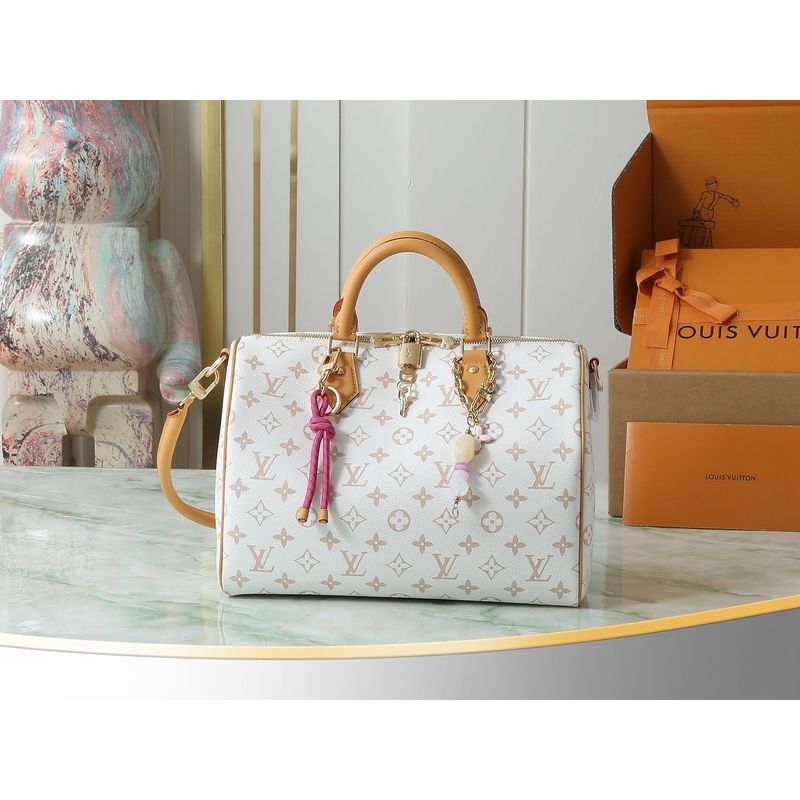 Louis Vuitton Speedy Bag