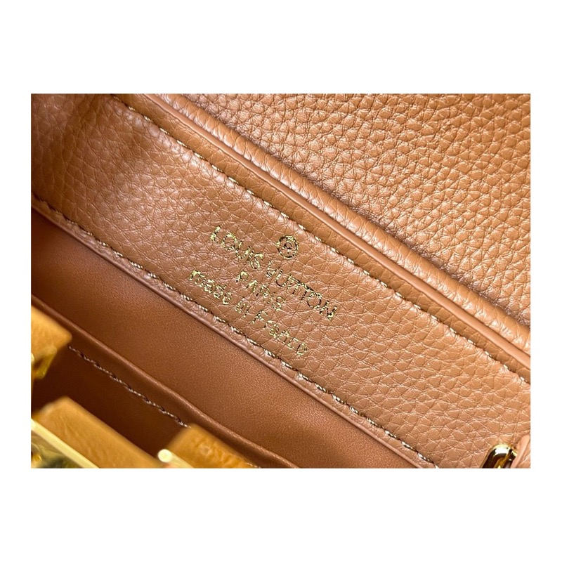 Louis Vuitton Capucines Bag